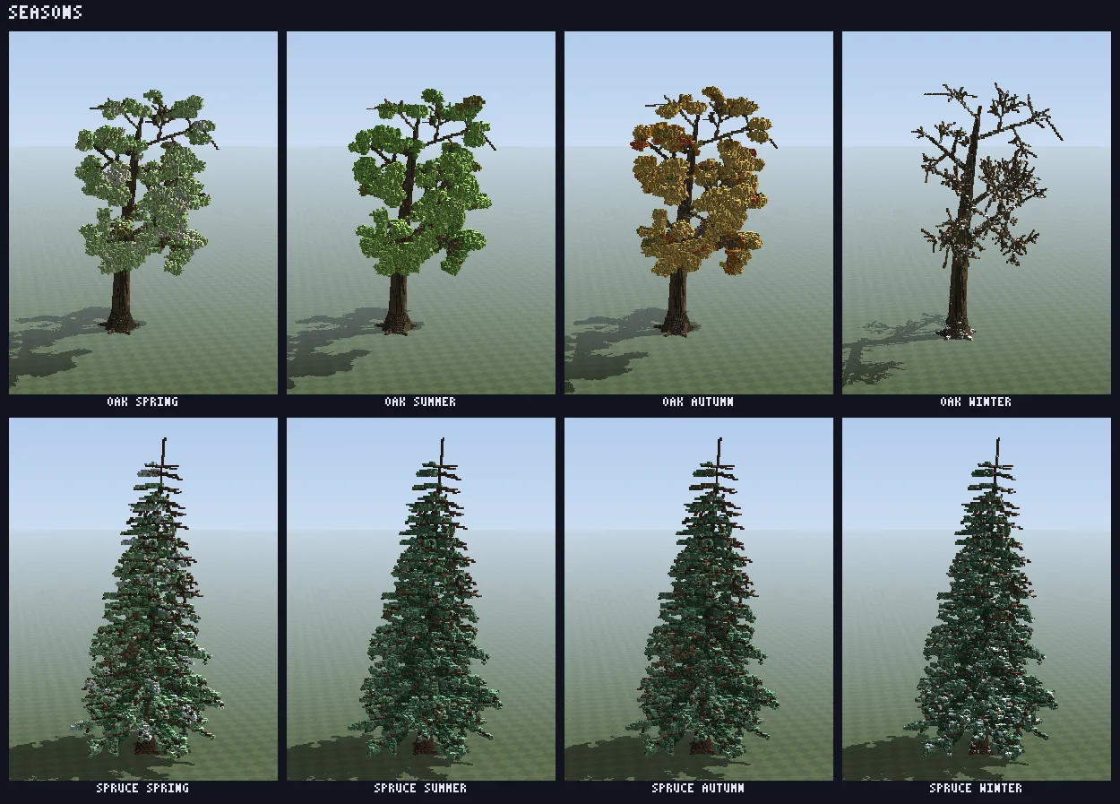 One tree through the four seasons