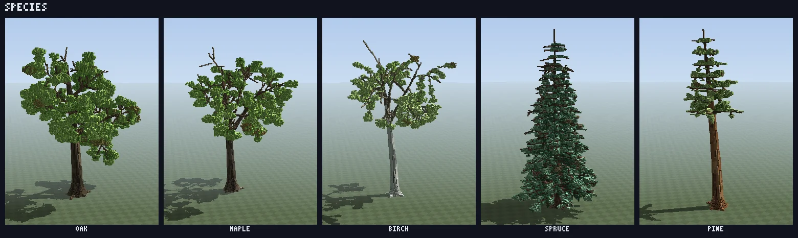 The five tree presets: oak, maple, birch, spruce and pine